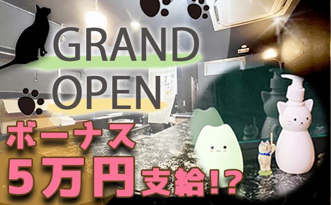 【★猫耳コンカフェ★】オープニング大募集♪15時～働ける！退勤後の送り無料◎